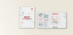 SCOT Lille Métropole