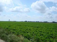 Paysage_Flesselles (CC de Bocage-Hallue)