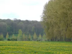 Paysage_Frohen (CC du Bernavillois)