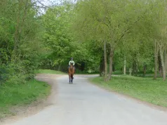 Paysage_Conty (CC du Canton de Conty)