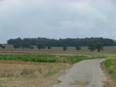 Alignement_Monsures (CC du canton de Conty)