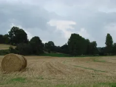 Source des parquets_Thoix (CC du canton de Conty)