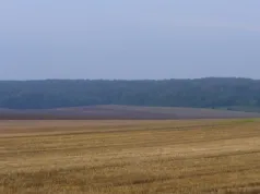 Plateau_Wailly (CC du canton de Conty)