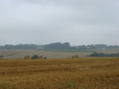 Village bosquet_Vergies (CC de la région de Oisemont)