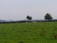 Prairie_Lamaronde (CC du sud-ouest Amiénois)