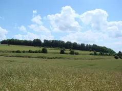 Rideaux_Bouchon (CC du Val de Nièvre)