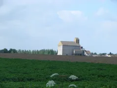 Village bosquet_Vignacourt (CC du Val de Nièvre)