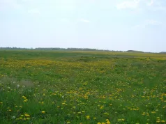 Site projet ZA_Villers-Bretonneux (CC du Val de Somme)