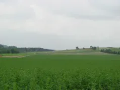 Rideaux_Dommartin (CC du Val de Noye)